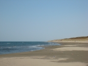 砂浜全景